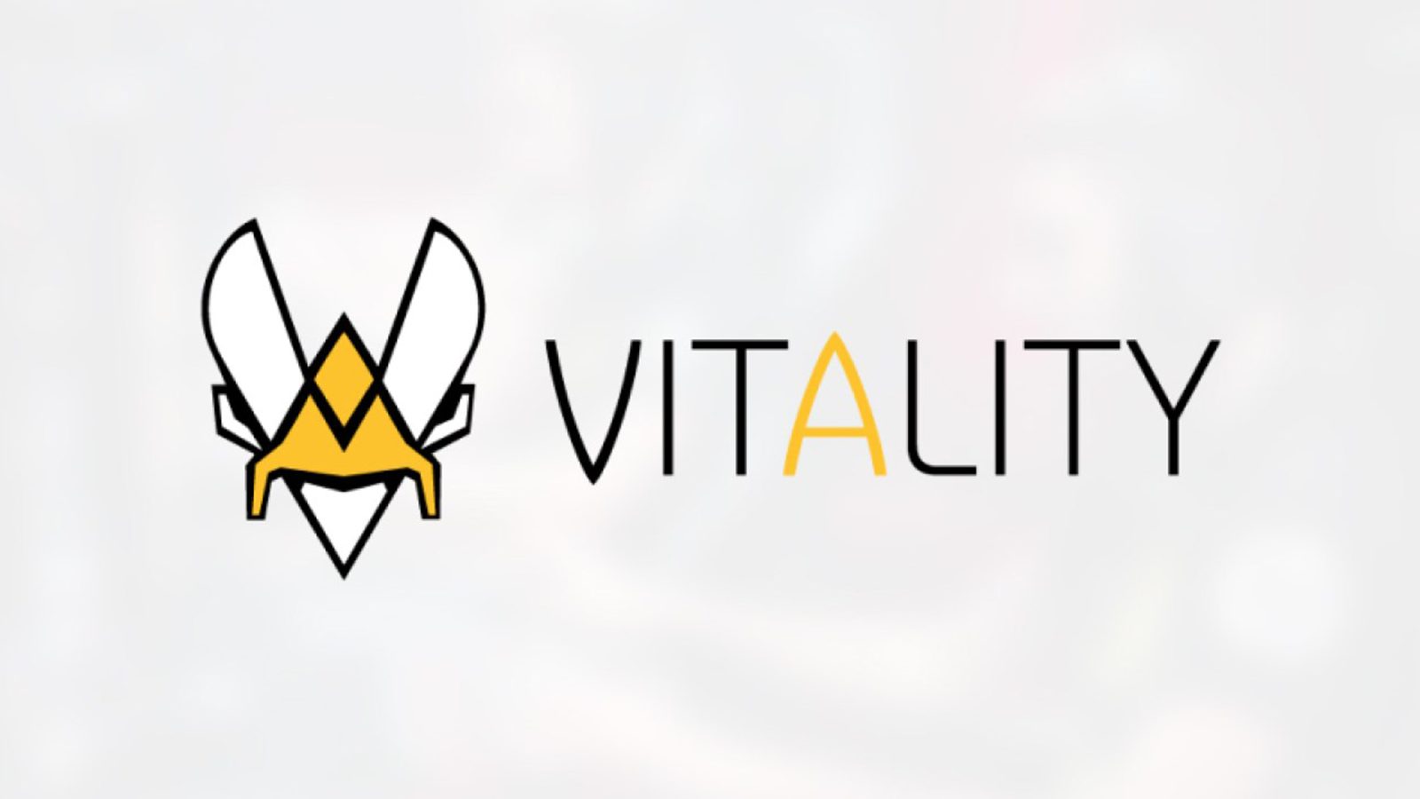 Vitality annonce une levée de fonds de 14 millions d'euros